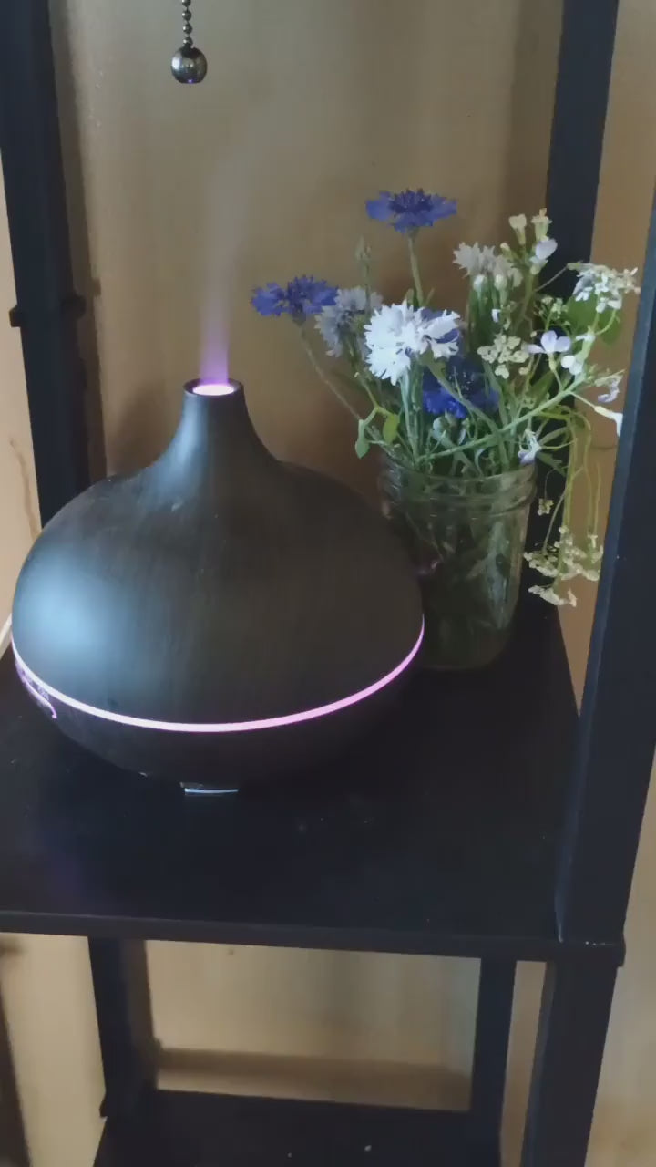 Rachel G. (Los Angeles, CA) | Verified Purchase ⭐⭐⭐⭐⭐ | I’m very conscious about what I bring into my home. Knowing EsoFly is non-toxic and the oils are pure was a huge selling point. It looks beautiful, works flawlessly, and aligns with my wellness values. Highly recommend.